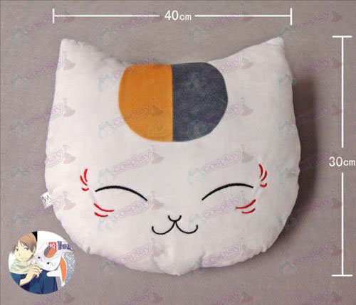 Pillow Profesor del gato