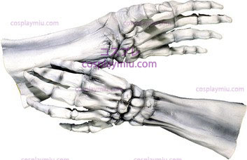 Hands, Super Skeleton