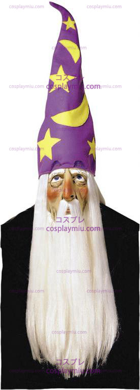 Wizard Mask With Hair and Tiene